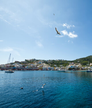 38103_dde8d7296757768b12f893d10d8f0de37cf43035