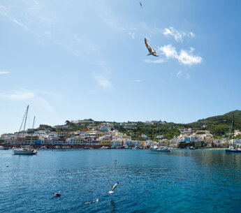 isola-3.jpeg isola-3.jpeg