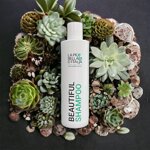 shampoo-beautiful-professional