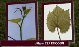 ca32b063-bcc0-41bb-9d9d-72e211b35c21