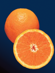 e5e2b582-06ac-4fd5-9bdd-2447d9ae8d5c