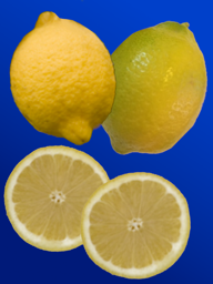 fd8b2fbd-d36e-43b7-8798-abe076088b3e