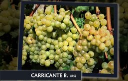 7a25550d-9769-4e0b-81a4-f67e413c5afa