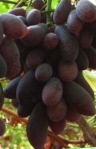 f4ed4913-c400-4900-b990-3ac5830516b4