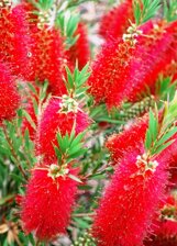 ae289130-af5e-491c-9863-7fb7f5f80e40