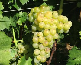 e55ffbf7-1104-4bdb-89a2-7084842f2673