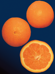 4a3943f1-08c0-4252-80f5-181370b30d23