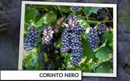 a2709e9b-f6a6-43fe-92d5-452c1fd68f01