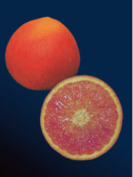 cf3424d5-8814-4a9a-b77d-8da8bf3397b9