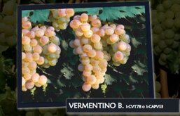 be5fa92b-3860-4542-be89-729e7820c7a1