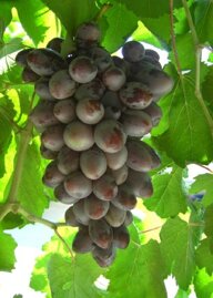 40247ab3-9c7f-49a1-a43e-e2732028eefd