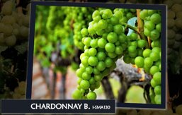 d71bc1b1-084b-4a66-90dd-67e0fc6b6125