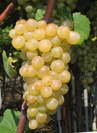 700e4628-b4ef-42d2-8c12-aa7d6d91335d