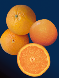 b30f8590-3ec1-4a48-8d90-7ba0f4ab6be3