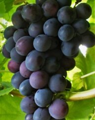 00619ceb-677e-491d-a01c-673cb7ce1d95