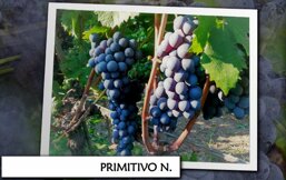 c23ad199-17e3-4c32-9d38-f366f7b02a6a