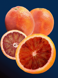 0b6b735f-d26d-4dd2-88d5-2b008c19e8c6