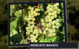 31868529-882d-46e9-b4f3-53664e017c5d