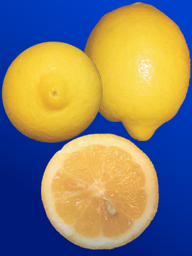 97c746bb-d71b-47fc-8fbb-79e4207c9560