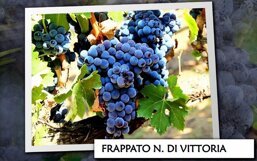 bb2947da-ab60-4e14-980a-343a6a538390