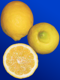 7fd400a2-19e5-4ec0-b29f-384a6971706f