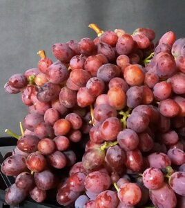 48280a9f-3620-4c42-a318-c90d4bccb0ae