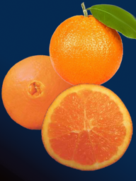 22d9d4d4-2bec-4dd8-a130-deba4df737e4