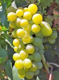 536ec44f-3c48-48b7-8393-93ec58ab29d6