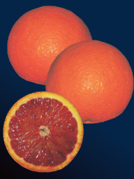 983dcd08-53b0-454a-bd75-49bcdddb5806