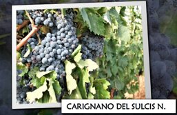 1c1cad10-6796-40f0-bd1b-fcf5c67b4c64