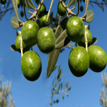 16c14004-55ec-4e41-b535-1da7a1ed55d9