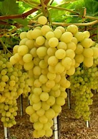 8dae45fc-4d85-4c7c-a0c6-3111e6c2422e