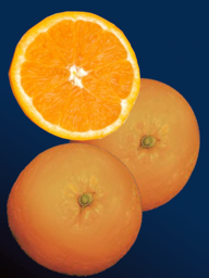 f4b4cbe0-7a63-43b1-9012-bba8ce873e0a