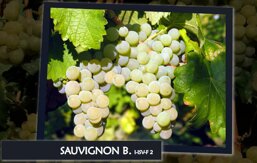 f6cfbc28-8038-4501-a8f7-9625f8fad74b