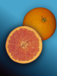 3986493f-a1ec-4c3b-9c5d-51b24c01ddda