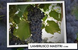 b592b2f2-a0f8-47d3-982b-ce26cf2457e5