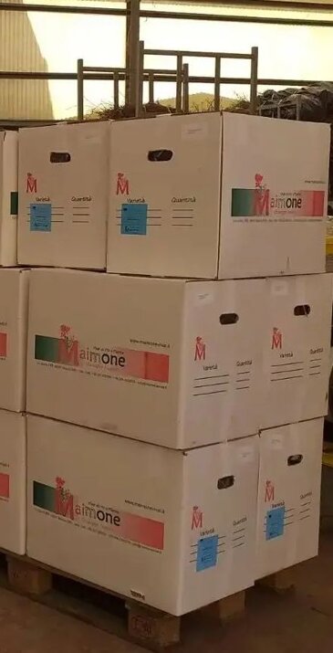 782ab54f-7dbd-4e08-82a0-2e9dcb5545f3