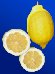 05b8e669-0479-4cb1-95fd-37fd032321bc