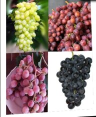 eebda3e3-6d58-4d50-be47-427e31501973