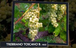 05dd209f-5bd8-4c6d-a710-0db9139938b0