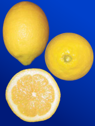 26f21ff6-7ff8-48d5-bcf0-beb2b94f43f4