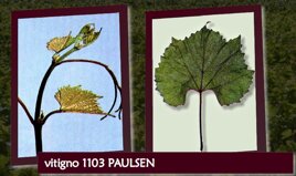 a9eabd00-e874-41a8-91dc-223ee73942dd