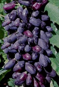 bbf851fb-9284-4d18-b62e-0e705757cdcf