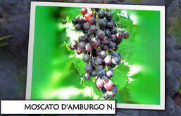 b669c518-722b-4333-bc87-a29f50e709e8