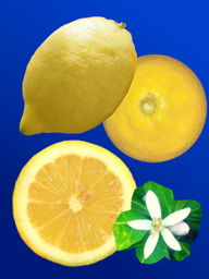 042c5737-7155-4f96-98a8-54c6668a6a26