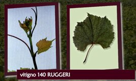 7061e878-9f1e-4de9-a79e-7e83eadccfe4