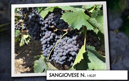 543eff2a-110a-4228-88c1-82825b4ecd40