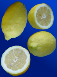 30a16ede-a0b0-45c6-b4bb-c0b4ab1e7407