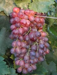 a541f74f-7f82-4a3c-ab9c-e685197c319a