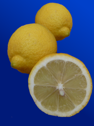 75b86a9c-14d7-41b5-8ea0-1c754e1eb761